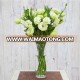 Fresh hotsell high quality lisianthus high quality&cheap price