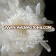 chrysanthemum cut flower